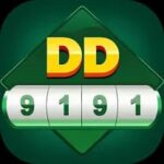 DD 9191 game app